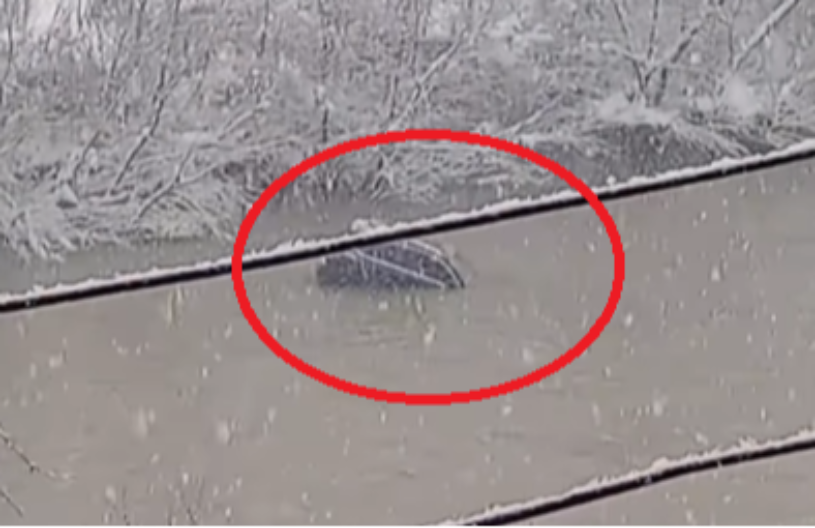 JEZIV SNIMAK, NABUJALI LIM NOSI AUTO Drama kod Priboja, sve zabeleženo kamerom (VIDEO)